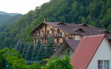 Руководителя «Сочисвета» уволили после жалоб на уличное освещение