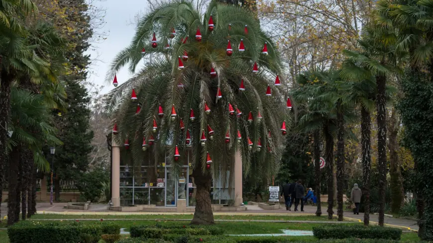 Парки и скверы Сочи зимой: куда пойти гулять бесплатно